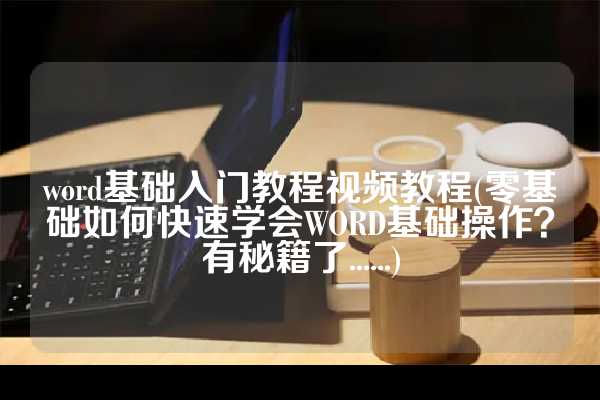 word基础入门教程视频教程(零基础如何快速学会WORD基础操作？有秘籍了......)