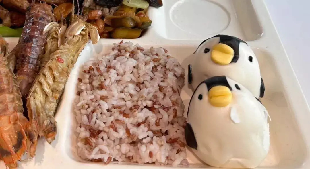 八卦新闻指什么生肖(内涵段子！字节食堂冬至日吃企鹅金正恩携32岁第一夫人亮相，李雪主穿套装好优雅，圆脸微胖真显嫩)