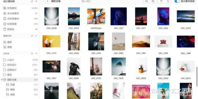 电脑软件合集(8款高效软件推荐！个个精选，让你眼前一亮)