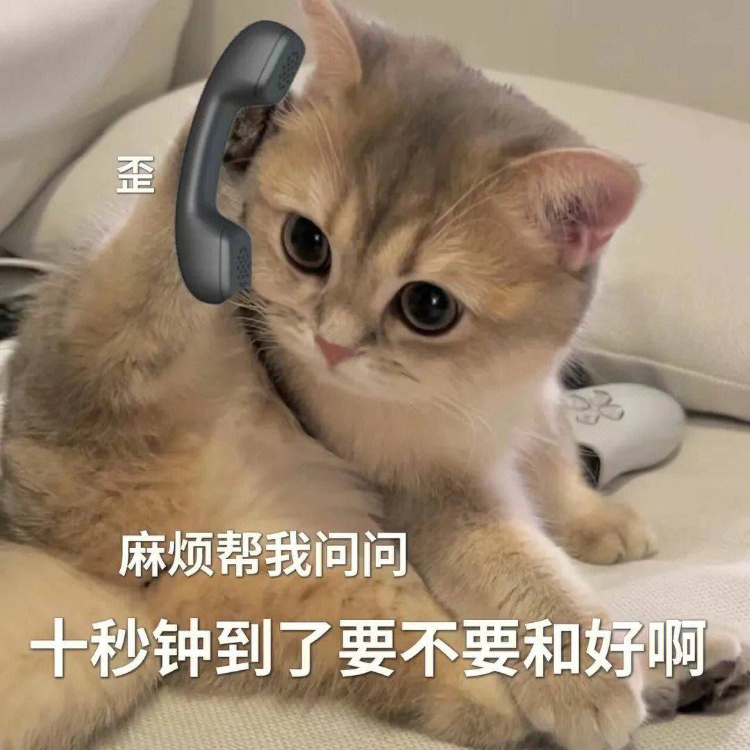 笑话十条：这么冷的天，老公一大早竟然洗他的寸头，不对劲啊 