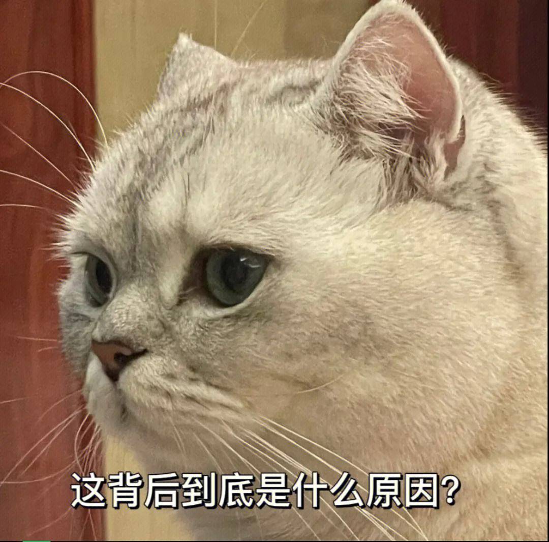 笑话十条：回想当年，鼓起很大的勇气去追求一个女孩 