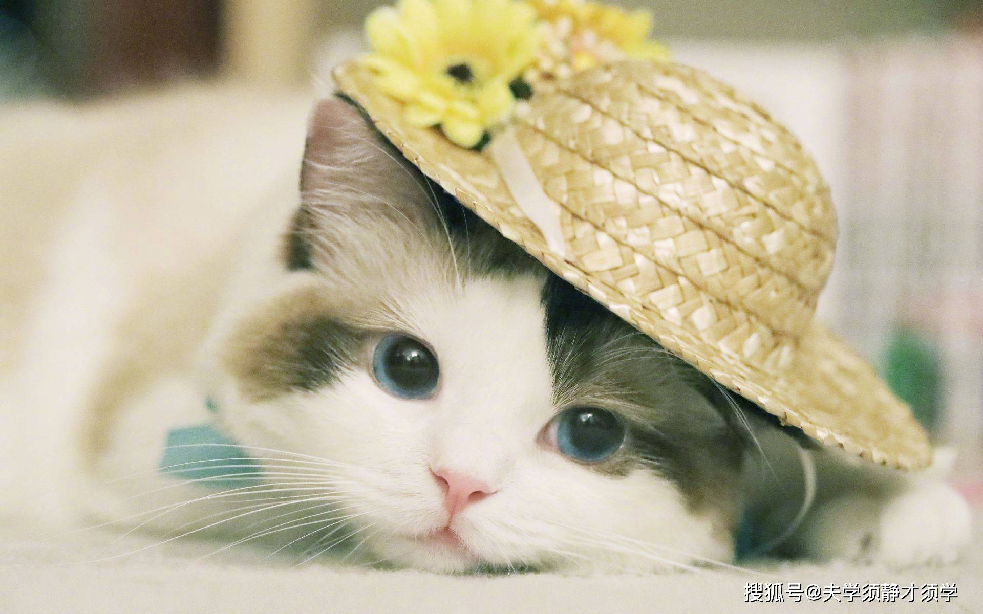 开心一刻：闺蜜对我说：我就不明白了，他为何非要追我几条街！