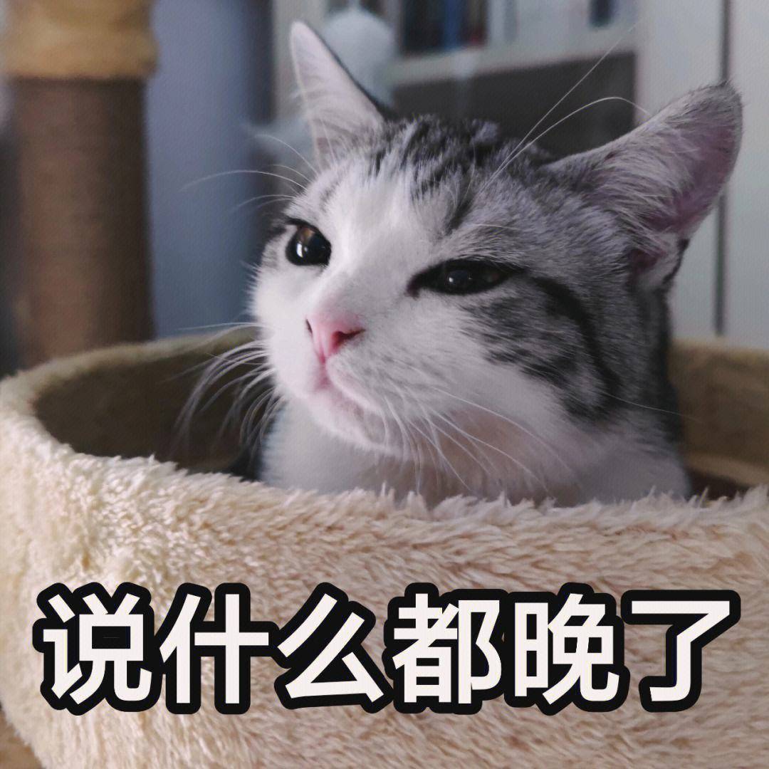 笑话十条：昨天晚饭时，儿子跟我们说有女朋友了，女孩非常喜欢他 
