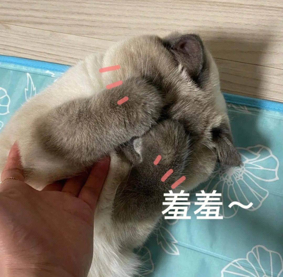 笑话十条：夏日的傍晚雨过天晴，一家人在阳台上看彩 