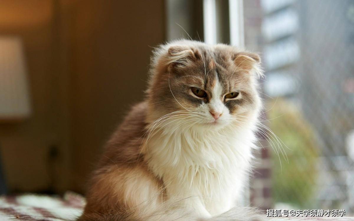 搞笑段子：老婆说：这句话才是最重要的，以后记着要经常说！ 