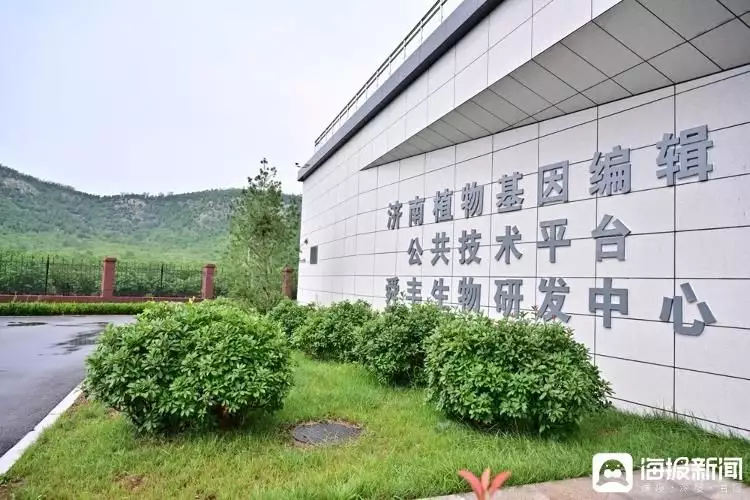 word2020教学视频(高质量发展 山东国企行｜打破国外技术垄断，济南这家基因编辑专精特新企业走在前以色列监狱“拉皮条”事件：多名女狱警供犯人玩乐，长官负责牵线)