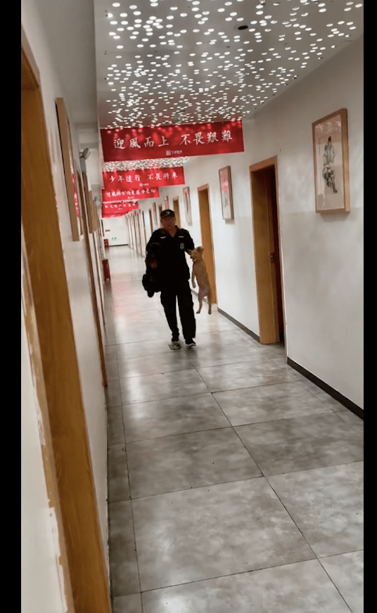 两只小狗跑进女生公寓里，被保安大叔给捉到拎了出来，脸皮真厚啊 