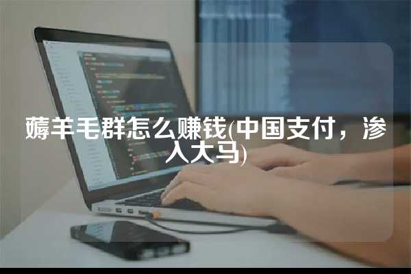 薅羊毛群怎么赚钱(中国支付，渗入大马)