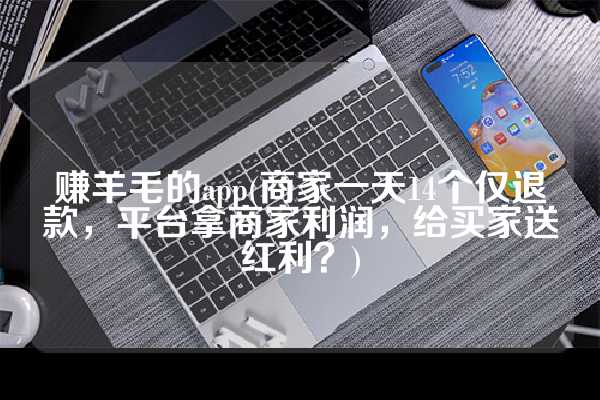 赚羊毛的app(商家一天14个仅退款，平台拿商家利润，给买家送红利？)