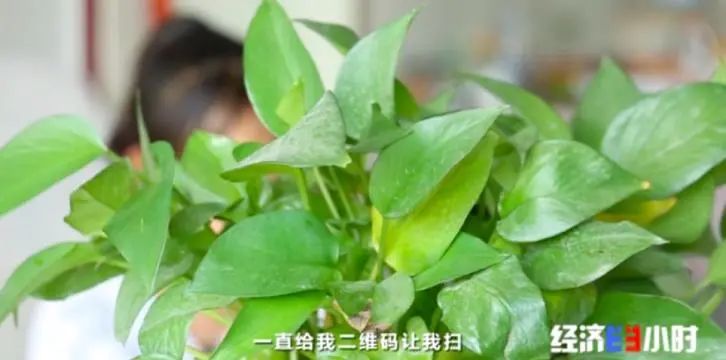 外贸独立站服务器可以更换吗安全吗(外贸独立站博客：行业资讯与知识分享，打造行业权威)