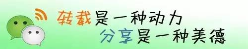 wap自助建站(初学者求怎么制作网页？)