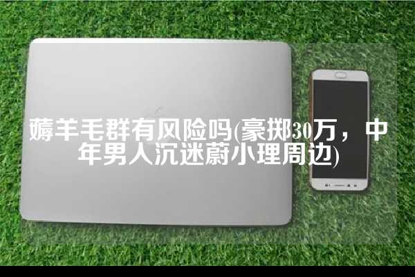 薅羊毛群有风险吗(豪掷30万，中年男人沉迷蔚小理周边)