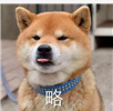 word如何删除空白页数(Word文档常见问题（一）)