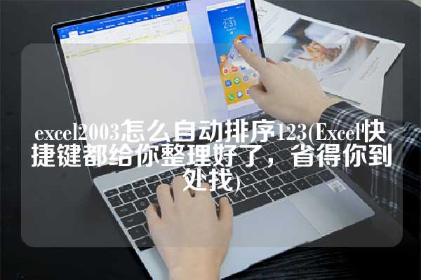 excel2003怎么自动排序123(Excel快捷键都给你整理好了，省得你到处找)