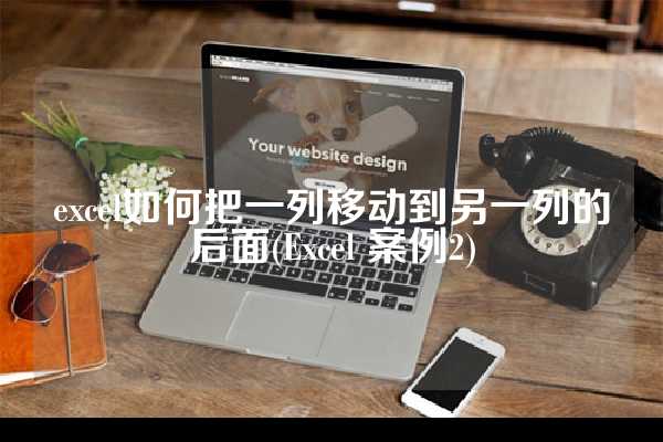 excel如何把一列移动到另一列的后面(Excel 案例2)