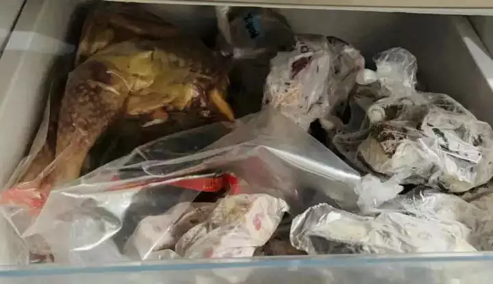 薅羊毛被骗(评论丨羊毛薅到政府消费券头上，打击地下黑产不能手软他们竟然是父子关系！这几对明星父子让你大开眼界，都是实力派！)