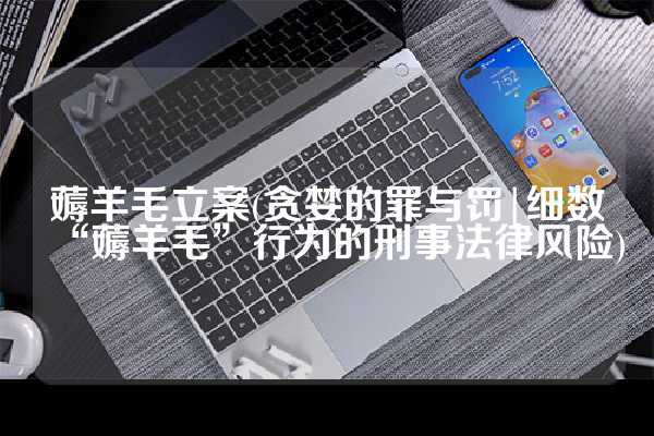 薅羊毛立案(贪婪的罪与罚|细数“薅羊毛”行为的刑事法律风险)
