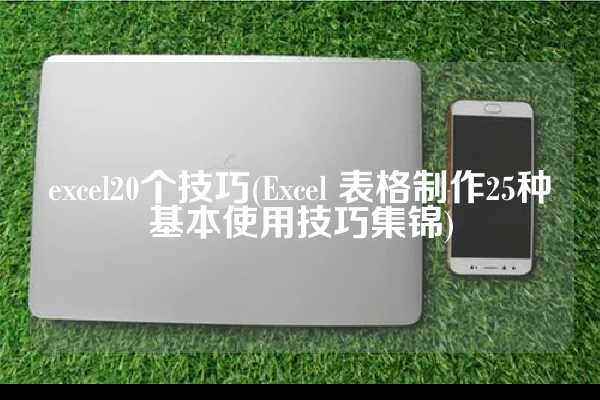 excel20个技巧(Excel 表格制作25种基本使用技巧集锦)
