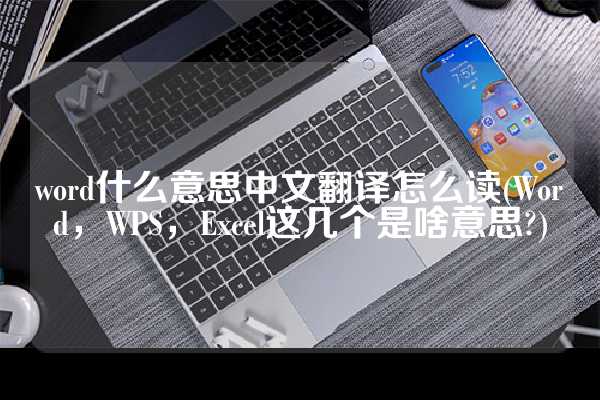 word什么意思中文翻译怎么读(Word，WPS，Excel这几个是啥意思?)