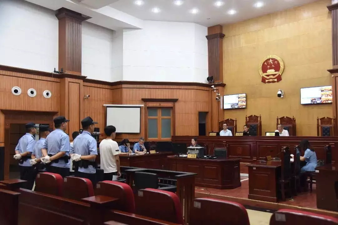 羊毛怎么赚钱(大学生开网店刷单虚假交易“薅羊毛”，犯诈骗罪获刑被学校开除拿千万片酬却用三十多个替身，拍戏只会读123，骑马都骑人脖子)