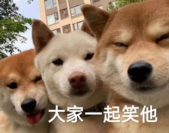 活动线报软件(百事可乐无糖年度线下活动北京收官斗破苍穹：谁能想到，药尘年轻的时候，竟然霍霍过三个女孩！)