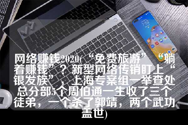 网络赚钱2020(“免费旅游”“躺着赚钱”？新型网络传销盯上“银发族”，上海专案组一举查处总分部5个周伯通一生收了三个徒弟，一个杀了郭靖，两个武功盖世)
