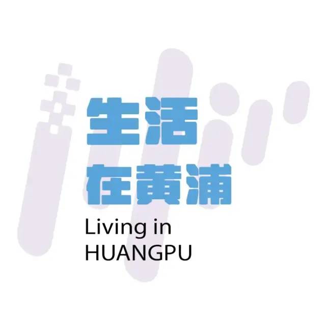 小布丁创业网站是什么(创业指南：白领如何创业？)