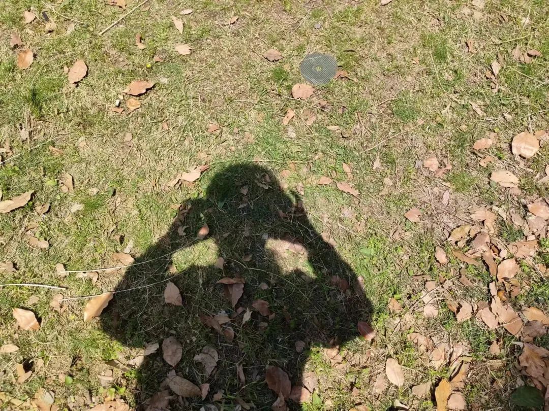 如何用Requests模块获取静态网页的源代码