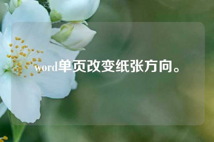 word单页改变纸张方向。