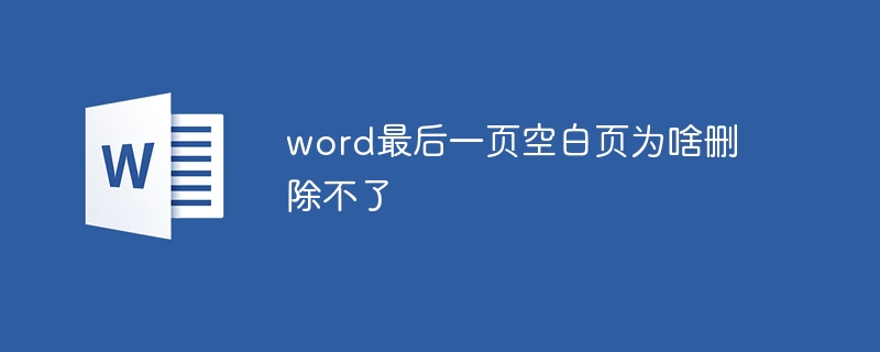 word最后一天空白页删除的方法