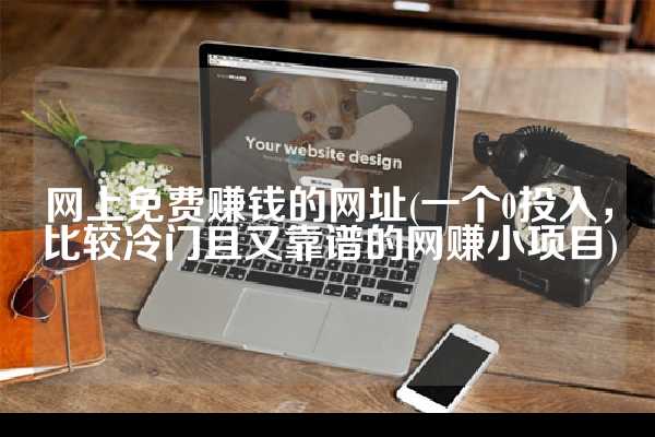 网上免费赚钱的网址(一个0投入，比较冷门且又靠谱的网赚小项目)