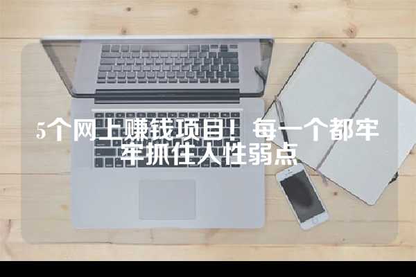 5个网上赚钱项目！每一个都牢牢抓住人性弱点