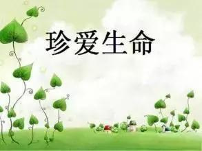 7175394bbae4cce16d19ec9143e849f3_20210527132684398439.jpg