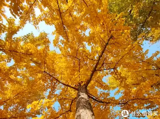 Excel查找和引用函数之INDEX函数.docx白鹿穿吊带裙纯欲感十足 绿色挑染长发个性吸睛