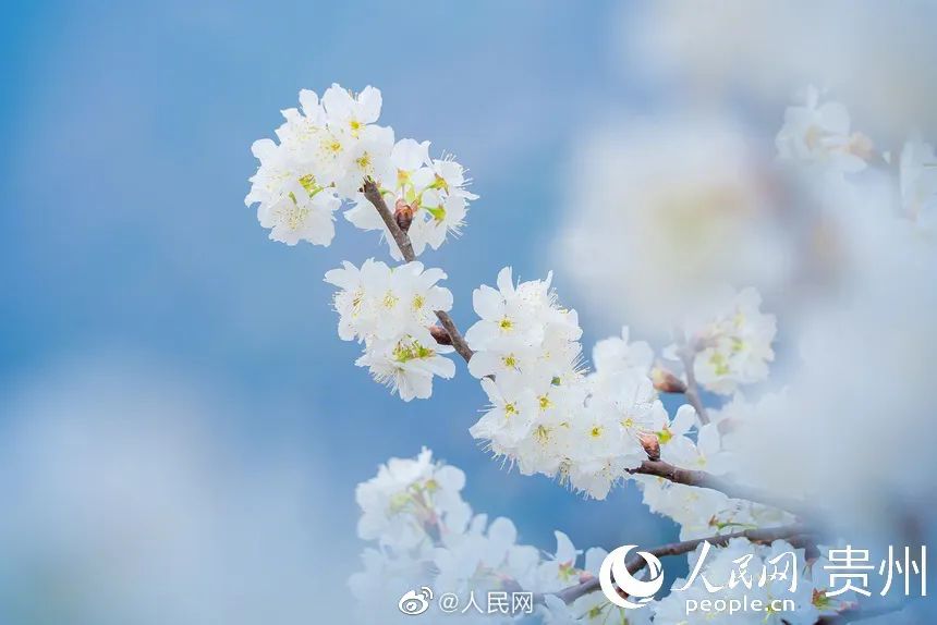 网上挣钱网站有哪些(网上赚钱方法:手机免费赚钱兼职,能赚钱的手机APP！)