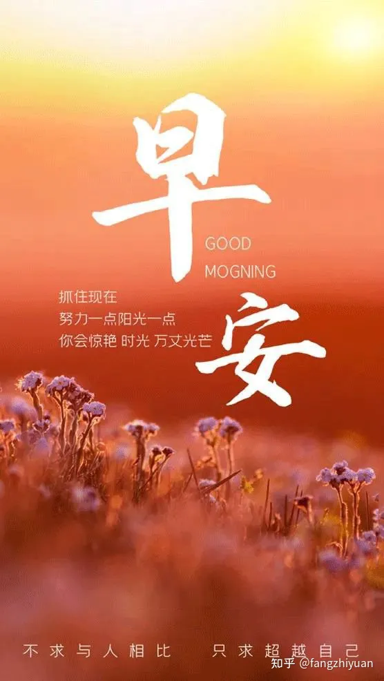 新闻资讯类网站特点(稳步前进“越办越好” 进博会与世界分享更多中国机遇张召忠预言成真？掏空国库建造的2艘航母，如今彻底沦为废铁)