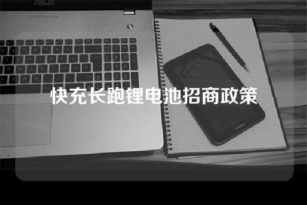 快充长跑锂电池招商政策