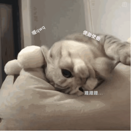 资讯类新闻是什么(部门介绍|新闻部)