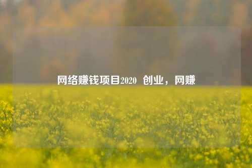 网络赚钱项目2020  创业，网赚
