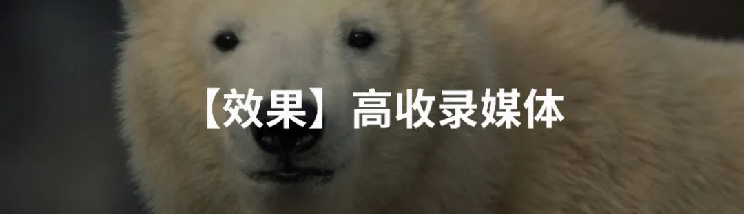 什么叫新闻资讯(百度新闻源资讯内容整改，百家号不再是新闻源)