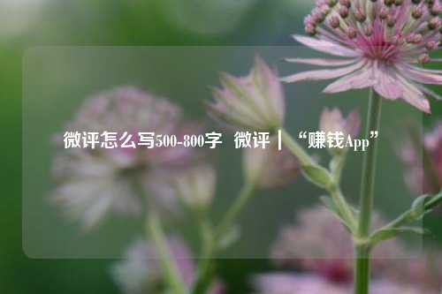 微评怎么写500-800字  微评｜“赚钱App”