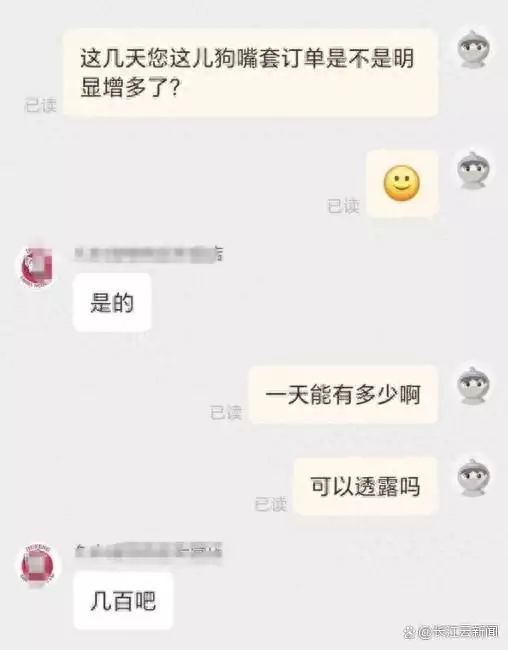 资讯类新闻到底是什么(狗嘴套销量猛增，宠物医生建议短鼻狗慎用《家有儿女》中明目张胆的穿帮镜头，导演是把观众当傻子吗？)