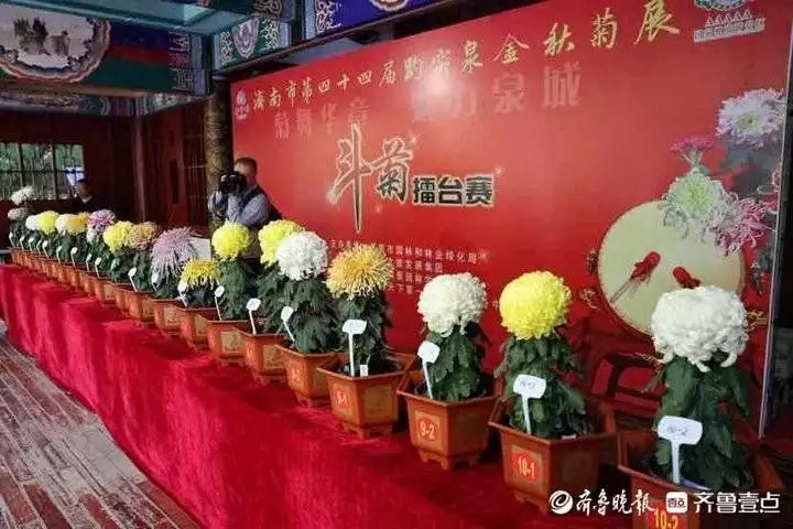 excel基础教学视频全集(win10微软拼音输入法利用深蓝词库转换工具导入现有名单到自学习词库杨颖公开示爱，甜喊男友宝贝，晒天价礼物，男方背景远超黄晓明！)