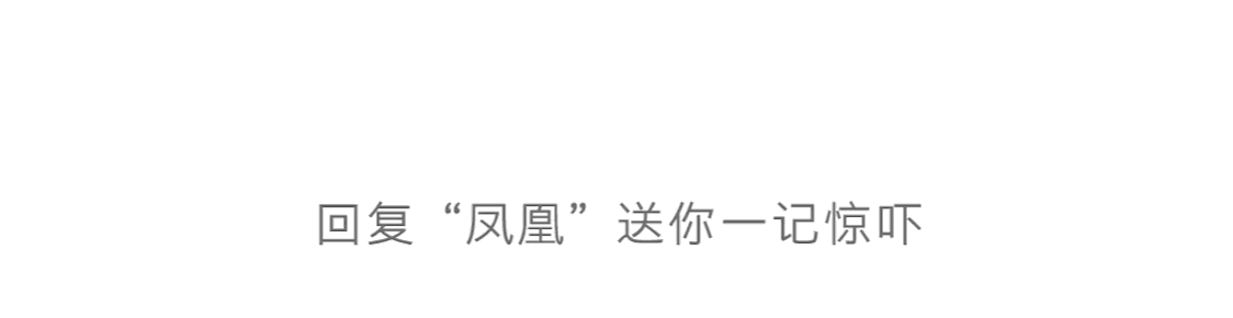 凤凰资讯下载手机客户端(凤凰新闻客户端斩获百度2016年人气资讯APP奖，口碑奖杯双丰收！)