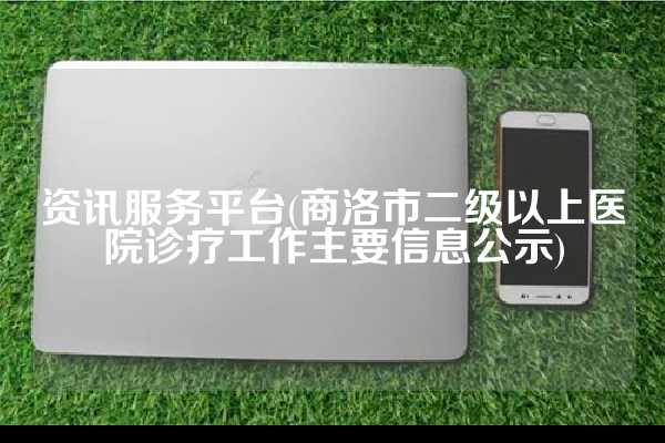 资讯服务平台(商洛市二级以上医院诊疗工作主要信息公示)