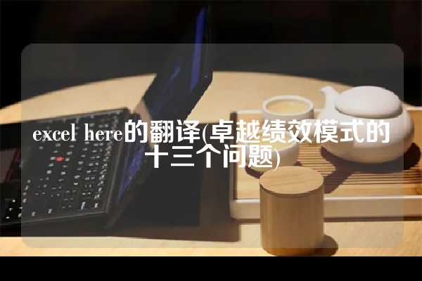 excel here的翻译(卓越绩效模式的十三个问题)