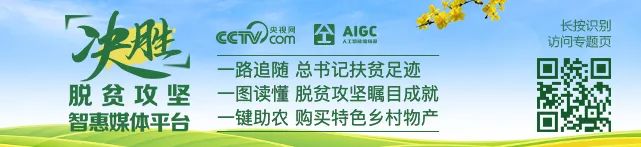 新闻资讯app哪个好用(全是新闻资讯类App？一招让你手机流畅如初！)
