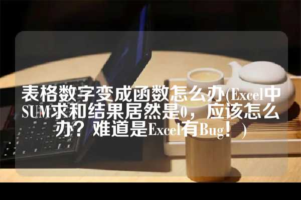 表格数字变成函数怎么办(Excel中SUM求和结果居然是0，应该怎么办？难道是Excel有Bug！)