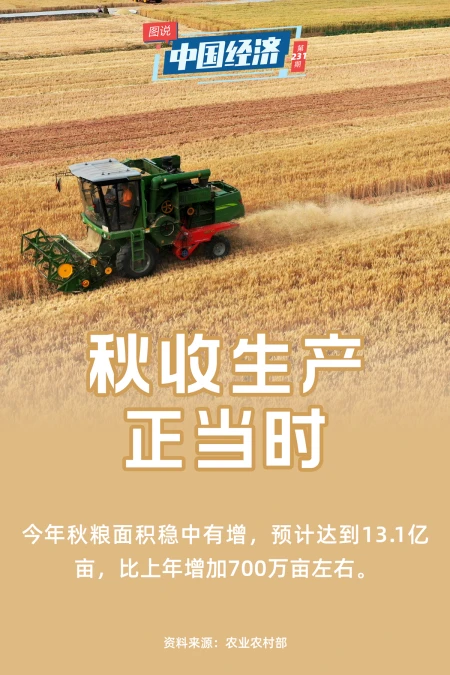 新闻图片 素材(图说中国经济又是一年秋收时：保障粮食安全，端牢中国饭碗)
