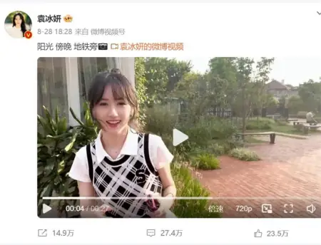 新闻资讯app下载安装(袁冰妍偷逃税被处罚并追缴297万元，妄图瞒天过海，只会越陷越深)